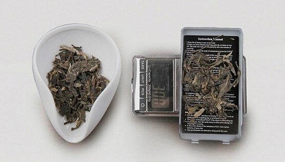 想學茶？先備齊這些基本工具！(圖2)